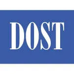 Dost Solutions company logo