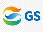 GS TECHNOLOGIES PVT LTD company logo