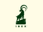 Ibex Dynamics company logo