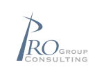 Pro Consulting company logo