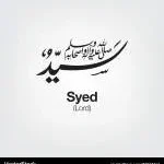 Syed Javaid company logo