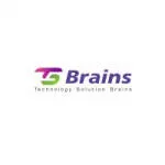 Tsbrains company logo