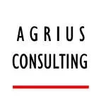 Agrius IT company logo