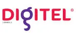 Digitel Solutions company logo