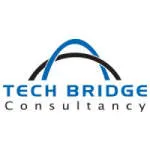 Tech Bridge Consultancy company logo