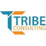 Tribe Consulting company logo