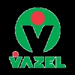 VazelTechnologies company logo