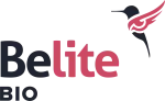 Belite Studios company logo