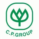 CP TECH INTERNATIONAL LTD company logo