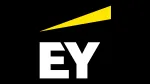 A E Y Accounting LLC company logo