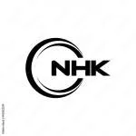 HNK WEBSOL (PRIVATE) LIMITED company logo