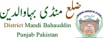 Phalia Mandi Bahauddin company logo