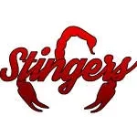 Xtingers company logo