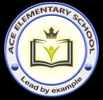 ACE ELEMENTARY SCHOOL GULBERG company logo