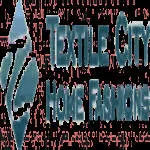 Textile City Inc company logo