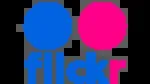 Brand Flicker company icon